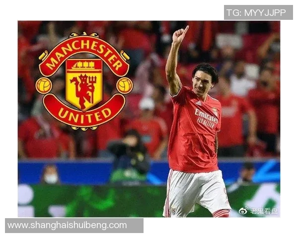 努涅斯：从新星崛起到足球巨星的成长之路与未来展望